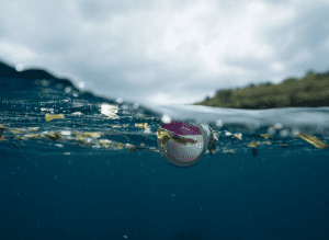 microplásticos en el mar