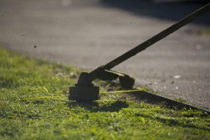 Espais Verds del Vallès Espacios Verdes Entornos Naturales EMD Bellaterra 