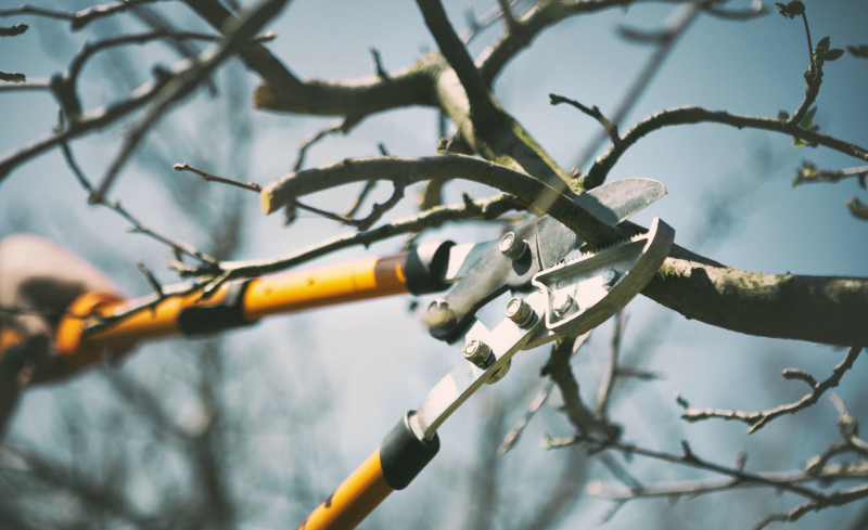 Espais Verds del Vallès Prevenir incendios Prevención de incendios forestales Cortafuegos Reducir el riesgo de incendios Gestión forestal Sostenible Protección contra incendios Residuos forestales Gestión de residuos Gestión de residuos forestales Fire Prevention Forest Fire Prevention Firebreaks Fire Risk Reduction Sustainable Forest Management Fire Protection Forest Waste Waste Management Forest Waste Management Prevenir incendis Prevenció d'incendis forestals Tallafocs Reduir el risc d'incendis Gestió forestal sostenible Protecció contra incendis Residus forestals Gestió de residus Gestió de residus forestals