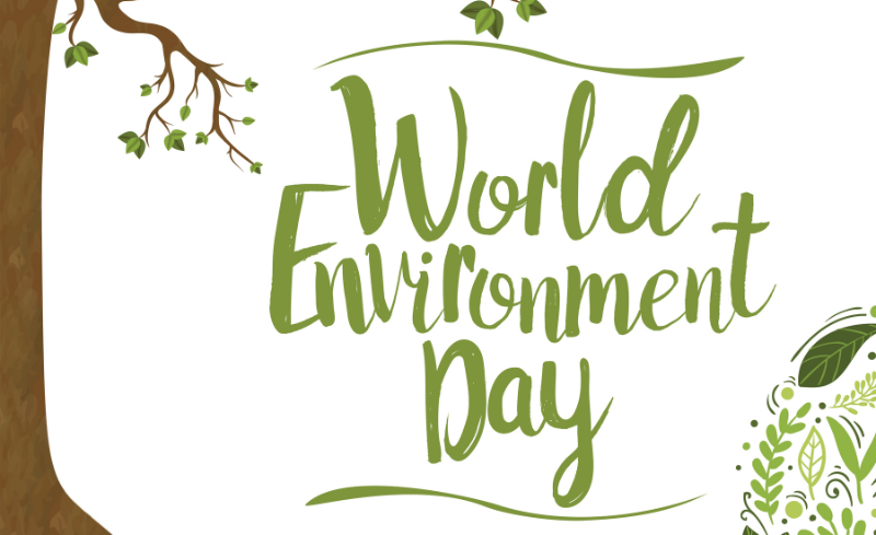 TMA Día Mundial del Medio Ambiente Sin Contaminación Por Plásticos Plástico Residuos Plásticos Gestión de Residuos Microplásticos World Environment Day No Plastic Pollution Plastic Plastic Waste Microplastics Waste Management Dia Mundial del Medi Ambient Sense Contaminació Per Plàstics Plàstic Residus Plàstics Gestió de Residus Microplàstics