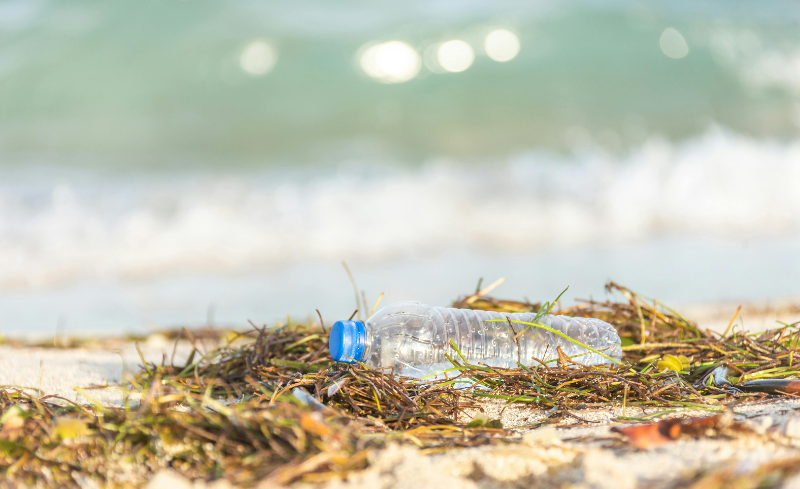 TMA Día Mundial del Medio Ambiente Sin Contaminación Por Plásticos Plástico Residuos Plásticos Gestión de Residuos Microplásticos World Environment Day No Plastic Pollution Plastic Plastic Waste Microplastics Waste Management Dia Mundial del Medi Ambient Sense Contaminació Per Plàstics Plàstic Residus Plàstics Gestió de Residus Microplàstics