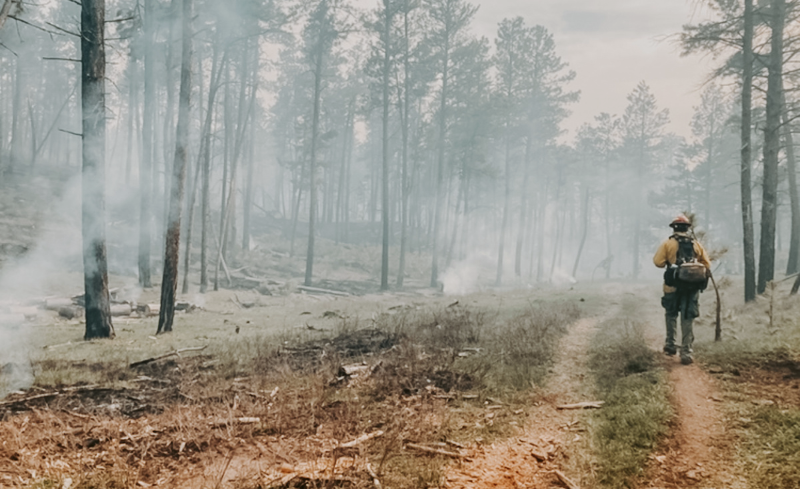 Espais Verds del Vallès Prevenir incendios Prevención de incendios forestales Cortafuegos Reducir el riesgo de incendios Gestión forestal Sostenible Protección contra incendios Residuos forestales Gestión de residuos Gestión de residuos forestales Fire Prevention Forest Fire Prevention Firebreaks Fire Risk Reduction Sustainable Forest Management Fire Protection Forest Waste Waste Management Forest Waste Management Prevenir incendis Prevenció d'incendis forestals Tallafocs Reduir el risc d'incendis Gestió forestal sostenible Protecció contra incendis Residus forestals Gestió de residus Gestió de residus forestals