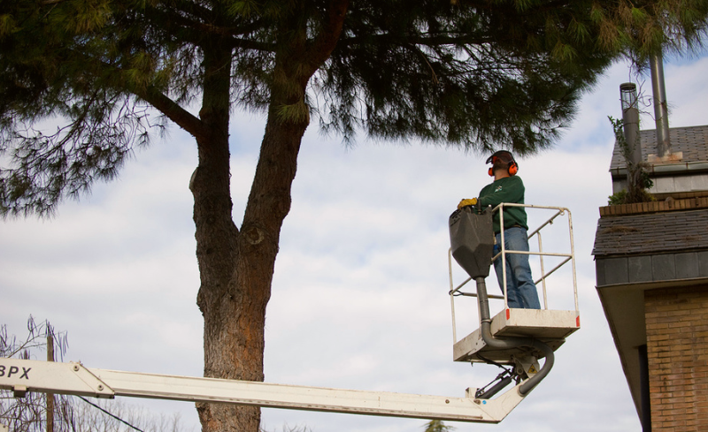 TMA EMPRESA DE GESTIÓN DE RESIDUOS ESPAIS VERDS DEL VALLÈS PODA DE ÁRBOLES ARBOLADO URBANO PODA DEL ARBOLADO ENTORNO URBANO CIUDADES SOSTENIBLES BIODIVERSIDAD RESIDUOS DE PODA RESTOS DE PODA ÁRBOLES URBANOS SOSTENIBILIDAD URBANA PODA EFICIENTE MÉTODOS DE PODA EMPRESA DE GESTIÓ DE RESIDUS PODA D'ARBRES ARBRAT URBÀ PODA DE L'ARBRAT ENTORN URBÀ CIUTATS SOSTENIBLES BIODIVERSITAT RESIDUS DE PODA RESTES DE PODA ARBRES URBANS SOSTENIBILITAT URBANA PODA EFICIENT MÈTODES DE PODA WASTE MANAGEMENT COMPANY TREE PRUNING URBAN TREES URBAN ENVIRONMENT SUSTAINABLE CITIES BIODIVERSITY EFFICIENT PRUNING PRUNING METHODS URBAN SUSTAINABILITY URBAN TREE PRUNING PRUNING WASTE