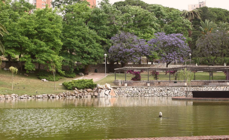 TMA EMPRESA DE GESTIÓN DE RESIDUOS ESPAIS VERDS DEL VALLÈS PODA DE ÁRBOLES ARBOLADO URBANO PODA DEL ARBOLADO ENTORNO URBANO CIUDADES SOSTENIBLES BIODIVERSIDAD RESIDUOS DE PODA RESTOS DE PODA ÁRBOLES URBANOS SOSTENIBILIDAD URBANA PODA EFICIENTE MÉTODOS DE PODA EMPRESA DE GESTIÓ DE RESIDUS PODA D'ARBRES ARBRAT URBÀ PODA DE L'ARBRAT ENTORN URBÀ CIUTATS SOSTENIBLES BIODIVERSITAT RESIDUS DE PODA RESTES DE PODA ARBRES URBANS SOSTENIBILITAT URBANA PODA EFICIENT MÈTODES DE PODA WASTE MANAGEMENT COMPANY TREE PRUNING URBAN TREES URBAN ENVIRONMENT SUSTAINABLE CITIES BIODIVERSITY EFFICIENT PRUNING PRUNING METHODS URBAN SUSTAINABILITY URBAN TREE PRUNING PRUNING WASTE