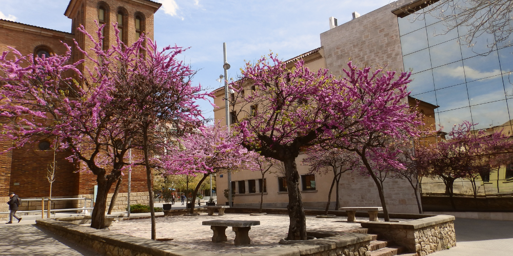 TMA EMPRESA DE GESTIÓN DE RESIDUOS ESPAIS VERDS DEL VALLÈS PODA DE ÁRBOLES ARBOLADO URBANO PODA DEL ARBOLADO ENTORNO URBANO CIUDADES SOSTENIBLES BIODIVERSIDAD RESIDUOS DE PODA RESTOS DE PODA ÁRBOLES URBANOS SOSTENIBILIDAD URBANA PODA EFICIENTE MÉTODOS DE PODA
EMPRESA DE GESTIÓ DE RESIDUS PODA D'ARBRES ARBRAT URBÀ PODA DE L'ARBRAT ENTORN URBÀ CIUTATS SOSTENIBLES BIODIVERSITAT RESIDUS DE PODA RESTES DE PODA ARBRES URBANS SOSTENIBILITAT URBANA PODA EFICIENT MÈTODES DE PODA
WASTE MANAGEMENT COMPANY TREE PRUNING URBAN TREES URBAN ENVIRONMENT SUSTAINABLE CITIES BIODIVERSITY EFFICIENT PRUNING PRUNING METHODS URBAN SUSTAINABILITY URBAN TREE PRUNING PRUNING WASTE