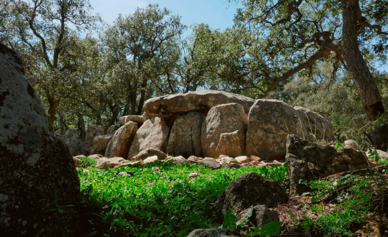 TMA EMPRESA DE GESTIÓN DE RESIDUOS TRAZABILIDAD VALORIZACIÓN RESIDUOS ESPECIALES RESIDUOS PELIGROSOS TRANSPORTE ESPECIALIZADO PUNTO LIMPIO SANTA CRISTINA D'ARO IMPACTO AMBIENTAL ECONOMÍA CIRCULAR WASTE MANAGEMENT COMPANY TRACEABILITY RECOVERY SPECIAL WASTE HAZARDOUS WASTE SPECIALIZED TRANSPORT CLEANING POINT ENVIRONMENTAL IMPACT CIRCULAR ECONOMY ZERO WASTE EMPRESA DE GESTIÓ DE RESIDUS TRAÇABILITAT VALORITZACIÓ RESIDUS ESPECIALS RESIDUS PERILLOSOS TRANSPORT ESPECIALITZAT DEIXALLERIA SANTA CRISTINA D'ARO IMPACTE AMBIENTAL