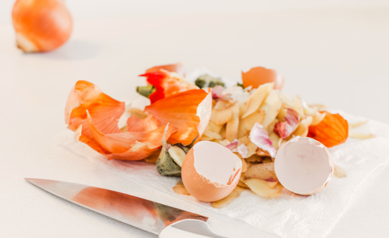 TMA Pérdida y desperdicio de alimentos Tirar comida Sostenibilidad alimentaria Desperdicio alimentario Residuos orgánicos Gestión de residuos Economía Circular de los alimentos Food Loss and Waste Throwing Away Food Sustainability Food Waste Organic Waste Waste Management Circular Economy of Food Leftover food Pèrdua i malbaratament d'aliments Llençar menjar Sostenibilitat alimentària Malbaratament alimentari Residus orgànics Gestió de residus Economia Circular dels aliments