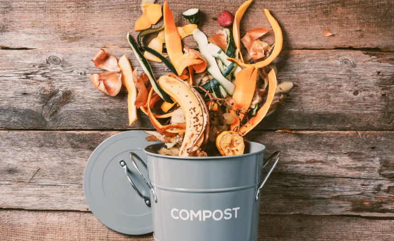 TMA Pérdida y desperdicio de alimentos Tirar comida Sostenibilidad alimentaria Desperdicio alimentario Residuos orgánicos Gestión de residuos Economía Circular de los alimentos Food Loss and Waste Throwing Away Food Sustainability Food Waste Organic Waste Waste Management Circular Economy of Food Leftover food Pèrdua i malbaratament d'aliments Llençar menjar Sostenibilitat alimentària Malbaratament alimentari Residus orgànics Gestió de residus Economia Circular dels aliments