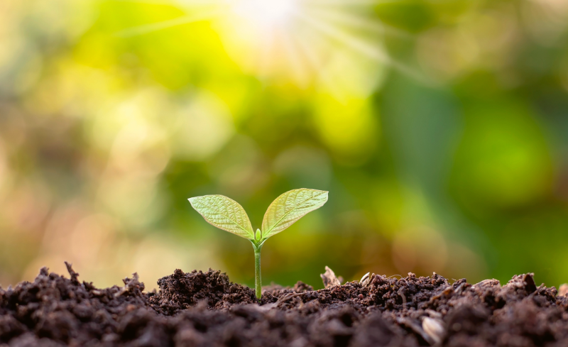 TMA Sello Calculo 2023 Huella de carbono Compromiso ambiental Salud ambiental Sostenibilidad Medio ambiente Compromiso sostenible Gestión de residuos Seal Calculation 2023 Carbon Footprint Environmental Commitment Environmental Health Sustainability Environment Sustainable Commitment Waste Management Segell Calculo 2023 Petjada de carboni Compromís ambiental Salut ambiental Sostenibilitat Medi ambient Compromís sostenible Gestió de residus