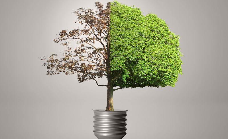 Día Mundial del Ahorro de Energía Ahorrar energía Eficiencia energética Reducir emisiones Consumo sostenible Gestión de Residuos Sostenibilidad World Energy Saving Day Save energy Energy efficiency Reduce emissions Sustainable consumption Waste management Sustainability Dia Mundial de l'Estalvi d'Energia Estalviar energia Eficiència energètica Reduir emissions Consum sostenible Gestió de Residus Sostenibilitat