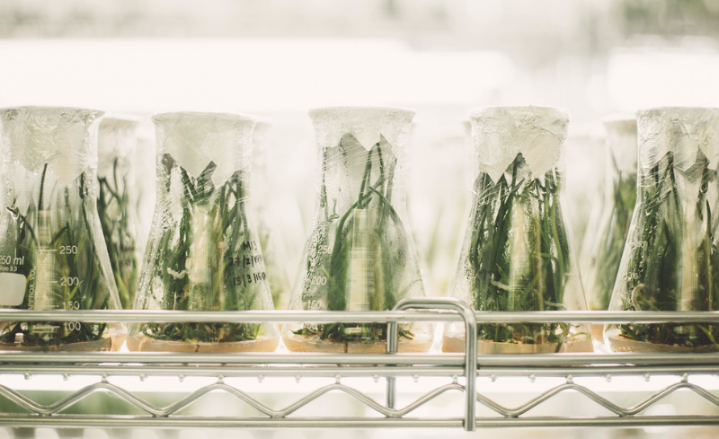 Gestión integral de residuos Residuos biosanitarios Residuos industriales Residuos de laboratorios Residuos de investigación Parque de Investigación Biomédica de Barcelona PRBB Gestión ambiental Investigación biomédica sostenible Tratamiento de residuos Compromiso ambiental Seguridad en laboratorios Cumplimiento normativo Responsabilidad ambiental Gestió integral de residus Residus biosanitaris Residus industrials Residus de laboratoris Residus de recerca Gestió ambiental Parc de Recerca Biomèdica de Barcelona Recerca biomèdica sostenible Tractament de residus Compromís ambiental Seguretat a laboratoris Compliment normatiu Responsabilitat ambiental Comprehensive waste management Biomedical waste Industrial waste Laboratory waste Research waste Barcelona Biomedical Research Park Environmental management Sustainable biomedical research Waste treatment Environmental commitment Laboratory safety Regulatory compliance Environmental responsibility