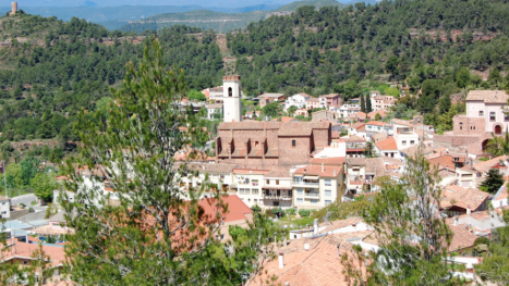 Espais Verds del Vallès Prevención de incendios forestales Gestión forestal sostenible Franjas de protección forestal Reducción del riesgo de incendios Restos vegetales Reducir el riesgo de incendios Prevenir incendios forestales Prevenció d'incendis forestals Gestió forestal sostenible Franges de protecció forestal Reducció del risc d'incendis Restes vegetals Reduir el risc d'incendis Prevenir incendis forestals Forest fire prevention Sustainable forest management Forest protection strips Reducing fire risk Plant debris Reducing fire risk Preventing forest fires