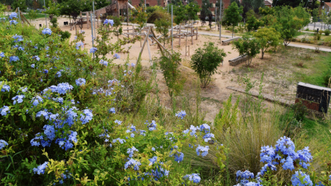 Espais Verds del Vallès, poda del arbolado urbano, poda de árboles municipales, mantenimiento del arbolado urbano, poda árboles El Masnou, gestión del arbolado urbano, seguridad urbana y arbolado, empresas especializadas en poda de árboles, mantenimiento de zonas verdes, arboricultura urbana, cada cuánto se poda un árbol urbano, quién debe podar el arbolado municipal, beneficios de la poda urbana, riesgos de una poda mal ejecutada poda de l'arbrat urbà, poda d'arbres municipals, manteniment de l'arbrat urbà, poda arbres El Masnou, gestió de l'arbrat urbà, seguretat urbana i arbrat, empreses especialitzades en poda d'arbres, manteniment de zones verdes, arboricultura urbana, cada quant es poda un arbre urbà, qui ha de podar poda mal executada urban tree pruning, municipal tree pruning, urban tree maintenance, tree pruning in El Masnou, urban tree management, urban safety and trees, companies specializing in tree pruning, green area maintenance, urban arboriculture, how often should an urban tree be pruned, who should prune municipal trees, benefits of urban pruning, risks of poorly executed pruning