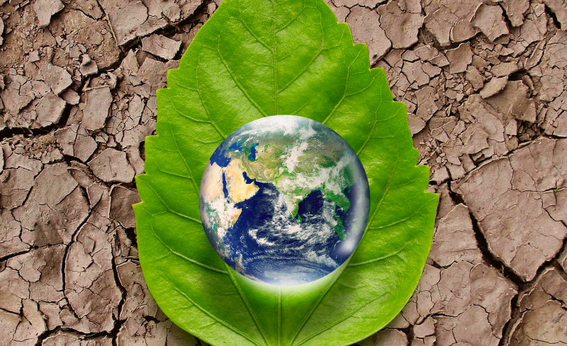 TMA, gestión de residuos, gestión de residuos y cambio climático, Día Mundial del Clima, gestión de residuos empresarial, valorización de residuos en las empresas, economía circular en empresas, residuo cero en las empresas, gestión de residuos ante el cambio climático, estrategia climática empresarial y gestión de residuos, residuos y objetivos climáticos, KPIs de la gestión de residuos waste management, Waste management and climate change, World Climate Day, corporate waste management, waste valorization in companies, circular economy in companies, zero waste in companies, waste management in the face of climate change, corporate climate strategy and waste management, waste and climate objectives, waste management KPIs gestió de residus i canvi climàtic, gestió de residus empresarial, valorització de residus a les empreses, economia circular a empreses, residu zero a les empreses, gestió de residus davant del canvi climàtic, estratègia climàtica empresarial i gestió de residus, residus i objectius climàtics, KPIs de la gestió de residus