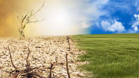 TMA, gestión de residuos, gestión de residuos y cambio climático, Día Mundial del Clima, gestión de residuos empresarial, valorización de residuos en las empresas, economía circular en empresas, residuo cero en las empresas, gestión de residuos ante el cambio climático, estrategia climática empresarial y gestión de residuos, residuos y objetivos climáticos, KPIs de la gestión de residuos waste management, Waste management and climate change, World Climate Day, corporate waste management, waste valorization in companies, circular economy in companies, zero waste in companies, waste management in the face of climate change, corporate climate strategy and waste management, waste and climate objectives, waste management KPIs gestió de residus i canvi climàtic, gestió de residus empresarial, valorització de residus a les empreses, economia circular a empreses, residu zero a les empreses, gestió de residus davant del canvi climàtic, estratègia climàtica empresarial i gestió de residus, residus i objectius climàtics, KPIs de la gestió de residus