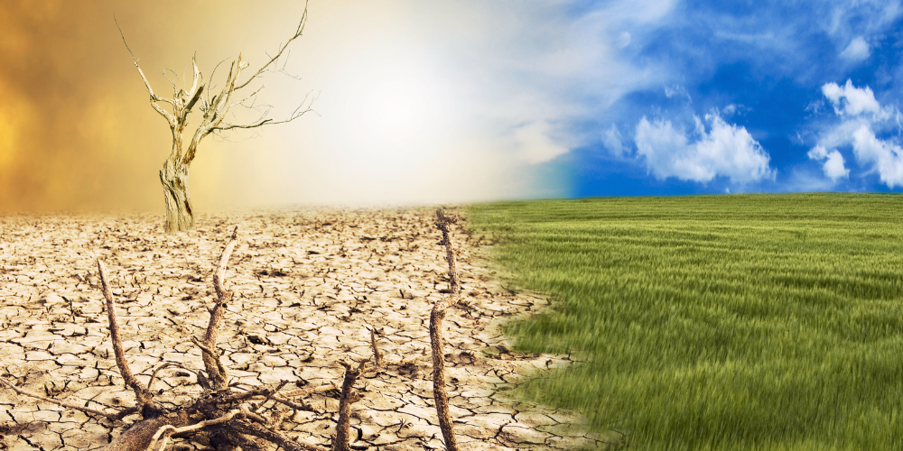 TMA, gestión de residuos, gestión de residuos y cambio climático, Día Mundial del Clima, gestión de residuos empresarial, valorización de residuos en las empresas, economía circular en empresas, residuo cero en las empresas, gestión de residuos ante el cambio climático, estrategia climática empresarial y gestión de residuos, residuos y objetivos climáticos, KPIs de la gestión de residuos waste management, Waste management and climate change, World Climate Day, corporate waste management, waste valorization in companies, circular economy in companies, zero waste in companies, waste management in the face of climate change, corporate climate strategy and waste management, waste and climate objectives, waste management KPIs gestió de residus i canvi climàtic, gestió de residus empresarial, valorització de residus a les empreses, economia circular a empreses, residu zero a les empreses, gestió de residus davant del canvi climàtic, estratègia climàtica empresarial i gestió de residus, residus i objectius climàtics, KPIs de la gestió de residus