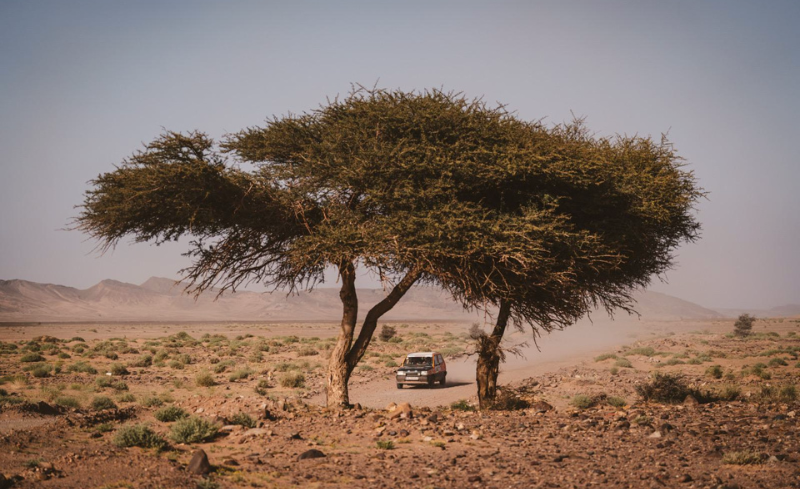 TMA, Panda Raid 2026, rally por el desierto marroquí, desierto marroquí, aventura en el desierto, rally amateur ral·li pel desert marroquí, desert marroquí, aventura al desert, ral·li amateur Moroccan desert rally, Moroccan desert, desert adventure, amateur rally