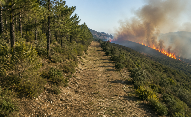  Incendio forestal en una zona montañosa con vegetación afectada por el fuego.